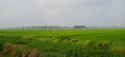  Agricultural Land for Sale in Agra Express Highway, Lucknow