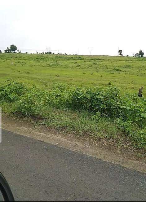 Industrial Land 500 Bigha for Sale in