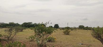  Agricultural Land for Sale in New Panvel, Navi Mumbai