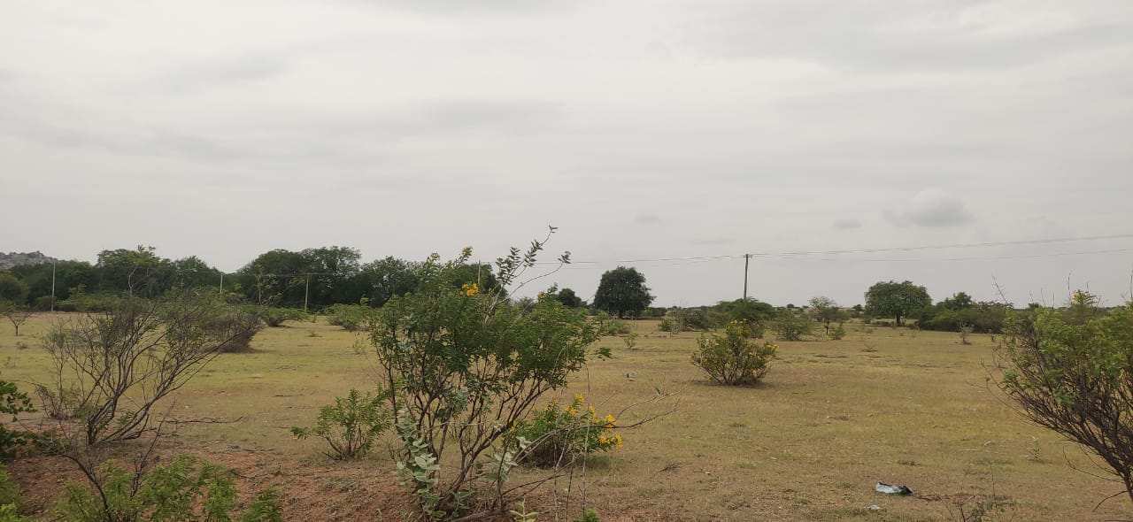 Agricultural Land 2250 Acre for Sale in