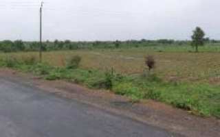  Agricultural Land for Sale in Kamptee, Nagpur