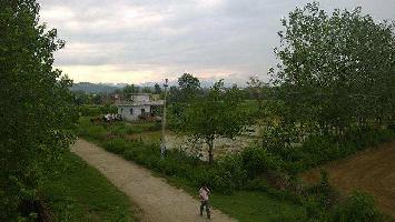  Agricultural Land for Sale in Shyampur, Haridwar