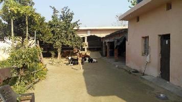 4 BHK Farm House for Sale in Katarpur Alipur, Haridwar