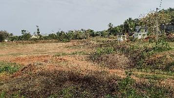  Agricultural Land for Rent in Veeraghattam, Srikakulam