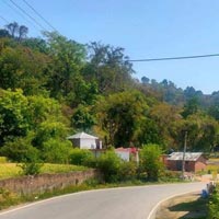  Agricultural Land for Sale in Sukkad Road, Dharamsala