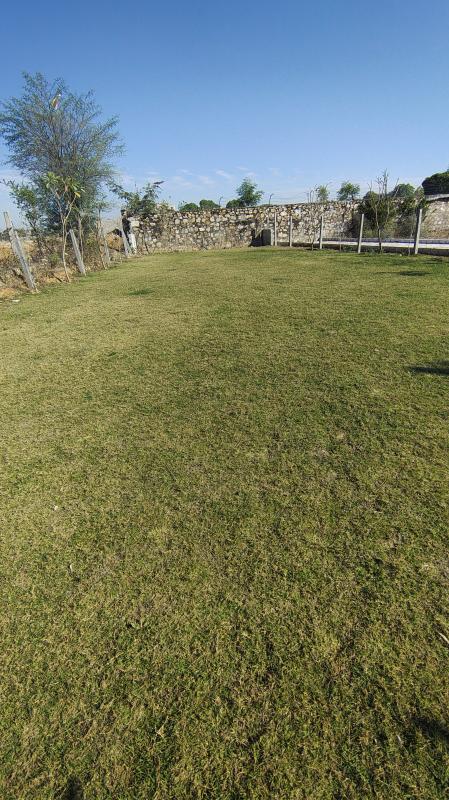  Residential Plot 211 Sq. Yards for Sale in Ajmer Road, Ajmer Road, Jaipur