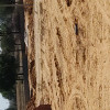  Residential Plot 150 Sq. Yards for Sale in Bhankrota, Jaipur