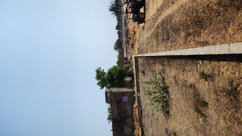  Residential Plot 89 Sq. Yards for Sale in Sirsi Road, Sirsi Road, Jaipur