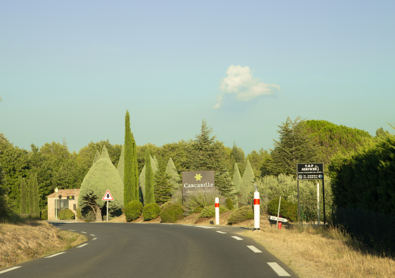  Residential Plot 101 Sq. Yards for Sale in Ajmer Road, Ajmer Road, Jaipur