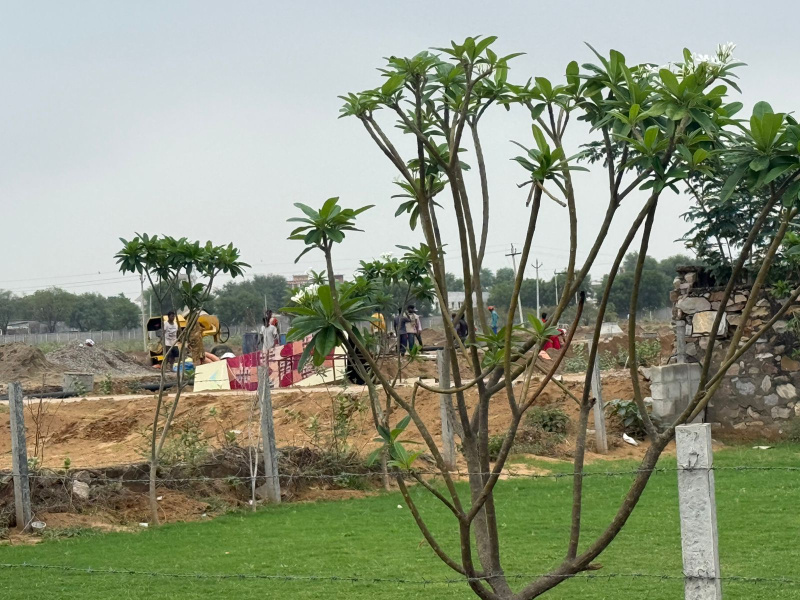  Residential Plot 119 Sq. Yards for Sale in Ajmer Road, Ajmer Road, Jaipur
