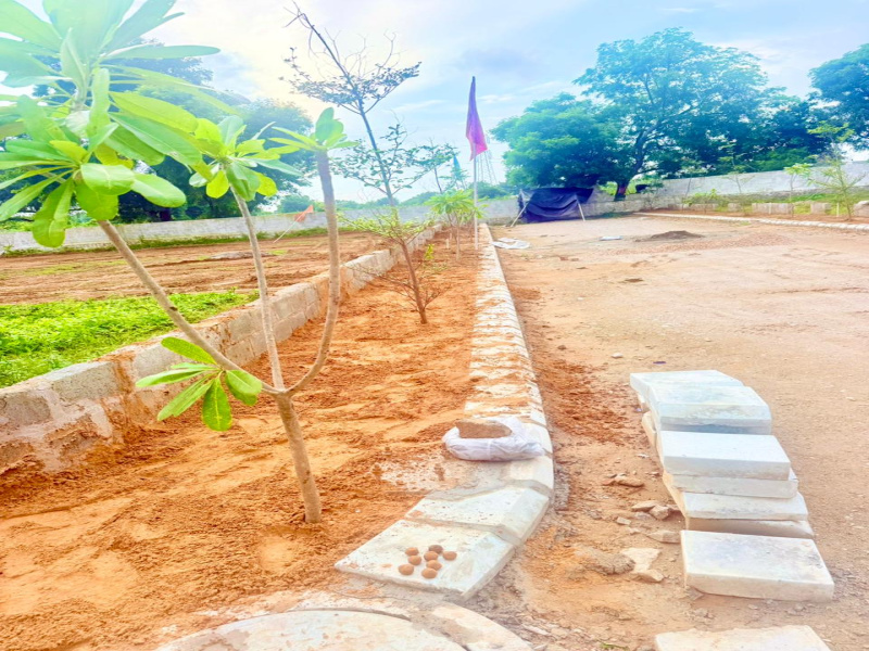  Residential Plot 97 Sq. Yards for Sale in Ajmer Road, Ajmer Road, Jaipur