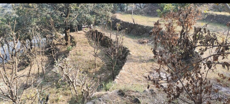  10000 Sq.ft. Agricultural/Farm Land for Rent in Dogaon, Nainital