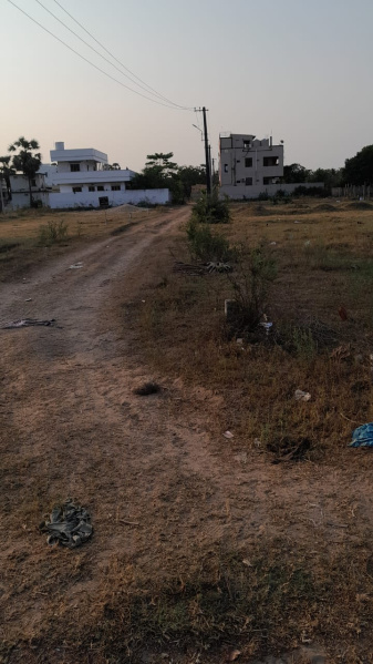  Residential Plot 11 Cent for Sale in Pedana, Krishna