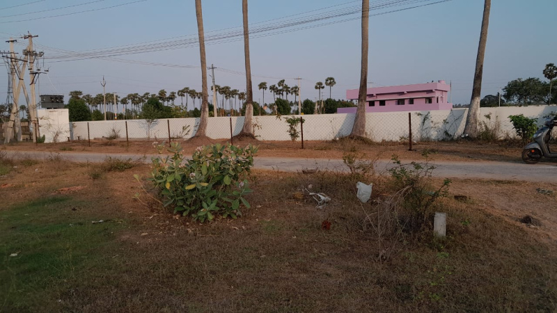  Residential Plot 11 Cent for Sale in Pedana, Krishna