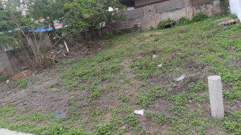  Commercial Land for Sale in Pedana, Krishna