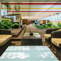  Residential Plot for Sale in Dholera, Ahmedabad