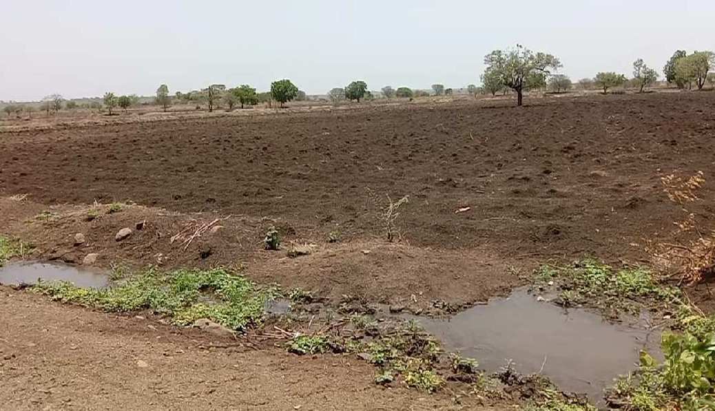 Agricultural Land 16 Acre for Sale in Humnabad, Bidar