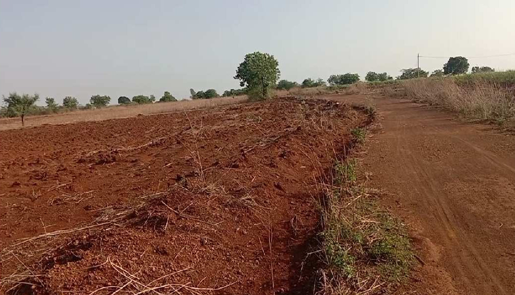 Agricultural Land 8 Acre for Sale in Humnabad, Bidar