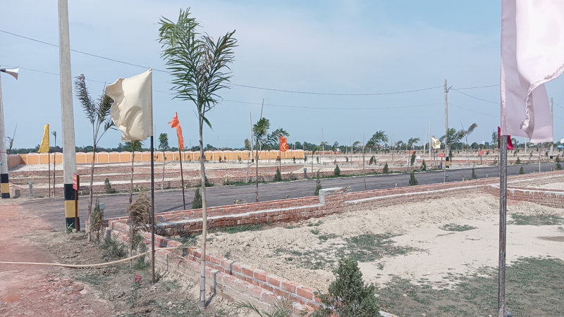  Residential Plot 1000 Sq.ft. for Sale in Raebareli Road, Raibareli Road, Lucknow