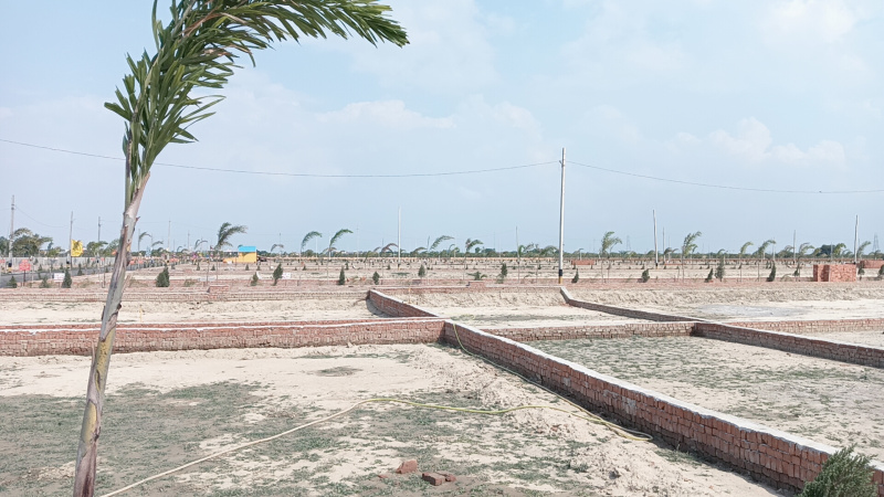  Residential Plot 1000 Sq.ft. for Sale in Raebareli Road, Raibareli Road, Lucknow