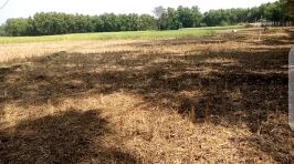  Commercial Land for Sale in Gangarampur, Dakshin Dinajpur