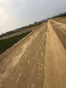  Residential Plot for Sale in Kaudia Jungle, Gorakhpur