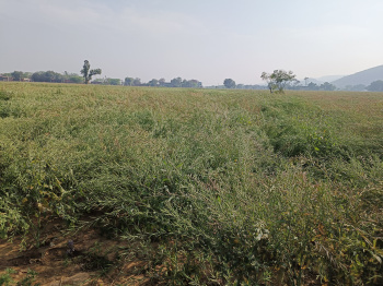  Agricultural Land for Sale in Nalhar, Nuh