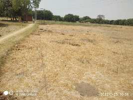  Agricultural Land for Rent in Lohta, Varanasi