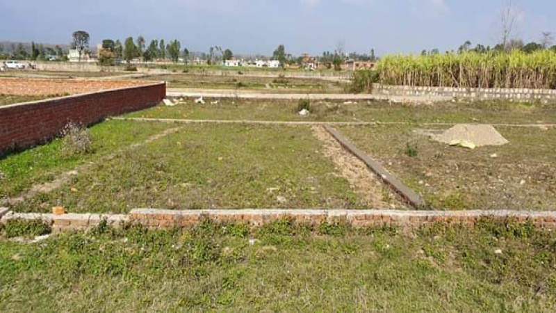  Factory 300 Sq. Yards for Sale in Sector 37 Gurgaon