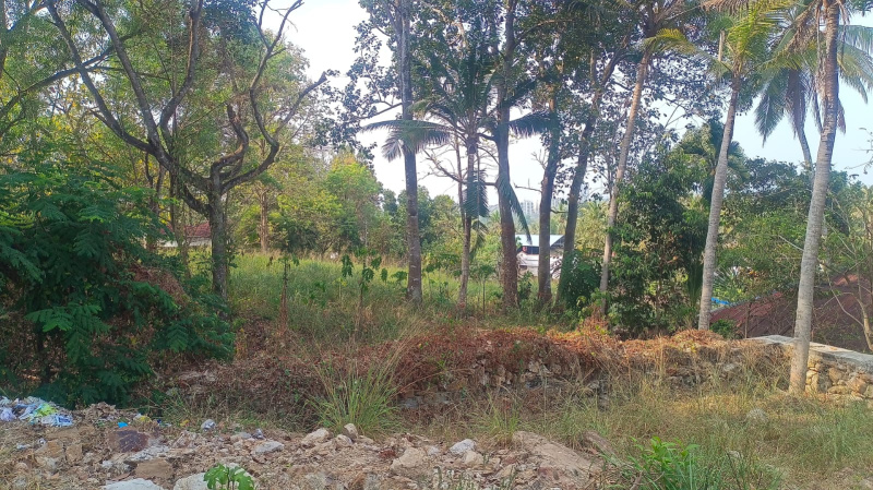  Residential Plot 20 Cent for Sale in PTP Nagar, Thiruvananthapuram