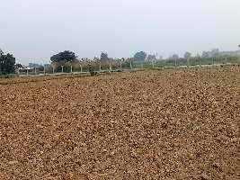  Commercial Land for Sale in Dasna, Ghaziabad