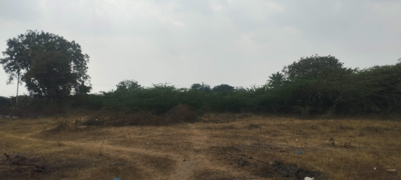  Residential Plot 403 Sq. Yards for Sale in Kuntloor, Hyderabad