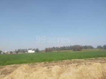  Agricultural Land for Sale in Kosli, Rewari
