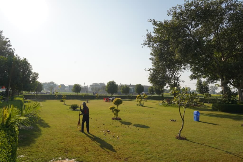  100 Sq. Yards Residential Plot for Sale in Jewar, Gautam Buddha Nagar