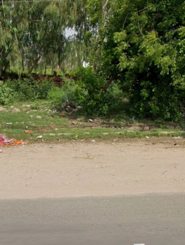  Agricultural Land for Sale in Pal Road, Jodhpur