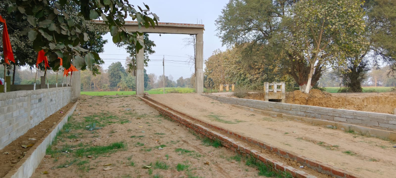  1200 Sq.ft. Residential Plot for Sale in Bihta, Patna