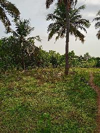  Agricultural Land for Sale in Hiriadka, Udupi