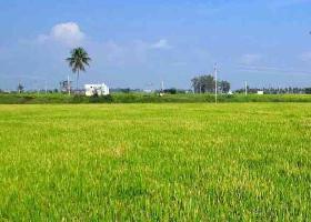  Agricultural Land for Sale in Maurawan, Unnao