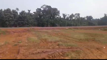  Commercial Land for Sale in Dias Vaddo, Goa Velha, 