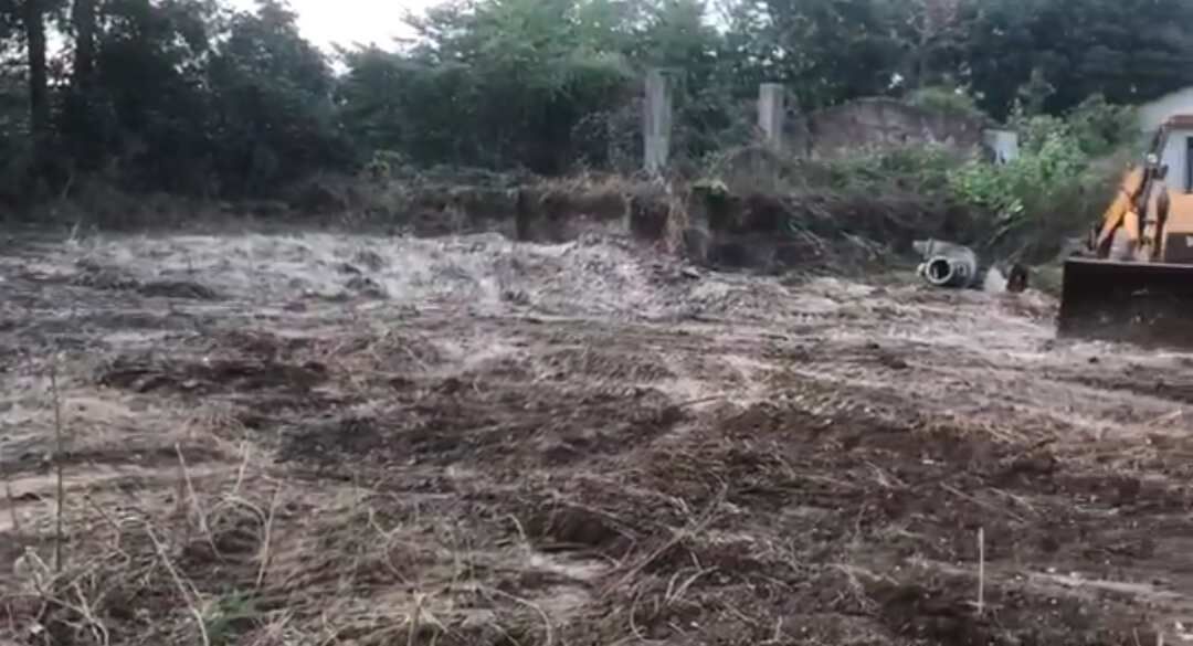  Commercial Land 3 Acre for Sale in Dahanu, Palghar