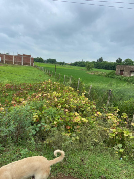  Commercial Land for Sale in Amleshwar, Raipur