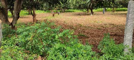  Agricultural Land for Sale in Tiruvallur, Chennai
