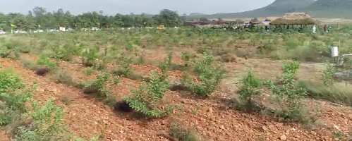  Agricultural Land for Sale in Vinukonda, Guntur