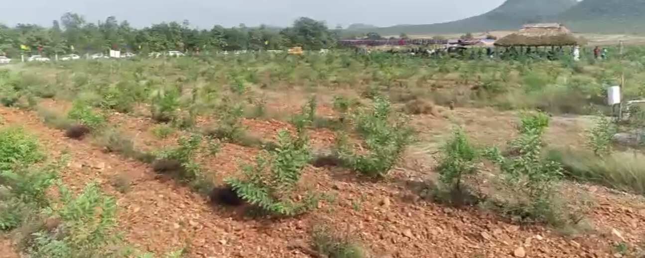  Agricultural Land 11 Cent for Sale in Vinukonda, Guntur