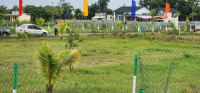 Agricultural Land for Sale in Madurantakam, Chennai