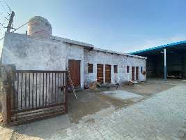  Warehouse for Rent in Sector 1 Rohtak