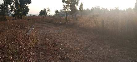  Agricultural Land for Sale in Dhaulas, Dehradun