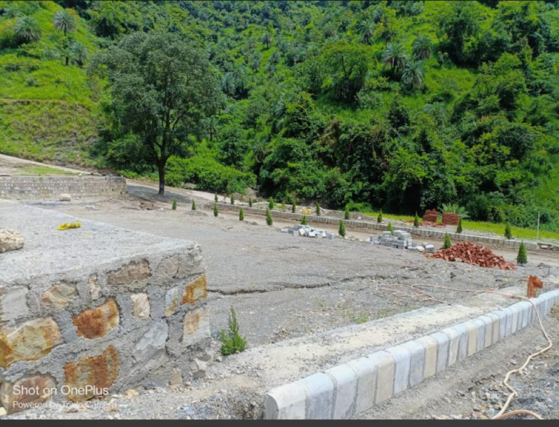 4500 Sq.ft. Agricultural Land for Sale in Sahastradhara Road, Dehradun (REI1150310)