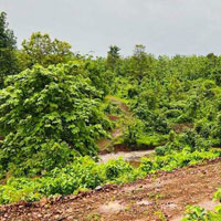  Agricultural Land for Sale in Karjat, Mumbai