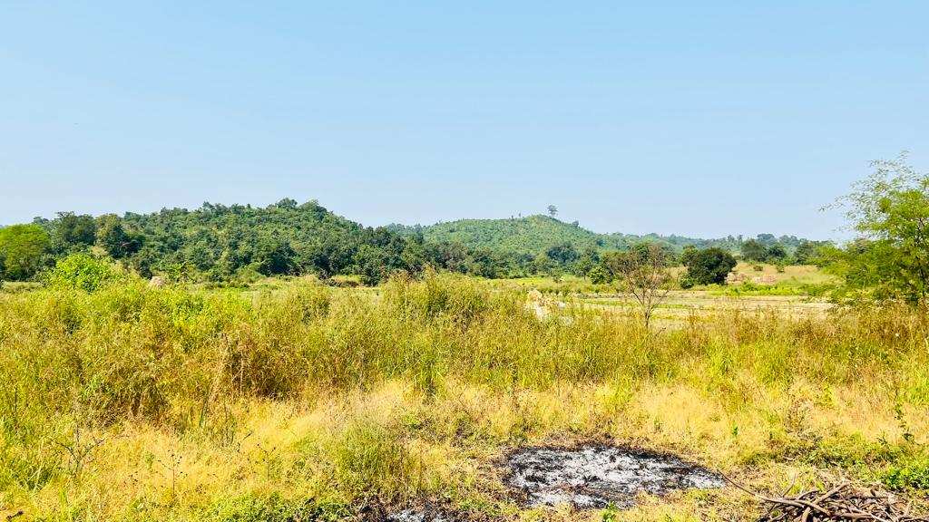  Agricultural Land 55 Acre for Sale in Karjat, Mumbai